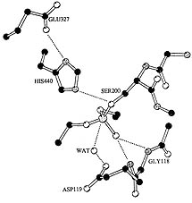 fig3sm picture