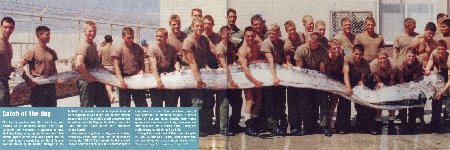 Oarfish