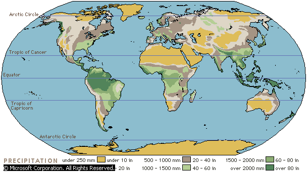 World precipitation map